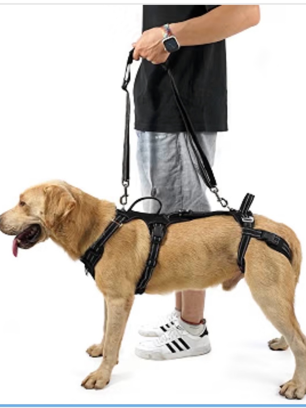 Mobility Dog Lift Harness Support Sling & Walking Sling Rear Leg M. 530/DB-1
